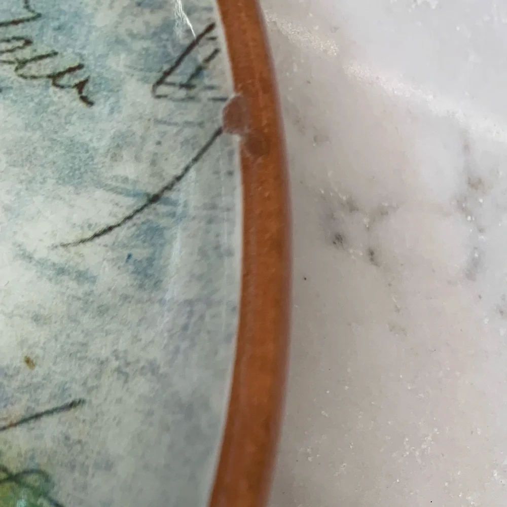 Williams Sonoma Paysage Italy Ceramic Pasta Bowl Plate 9”